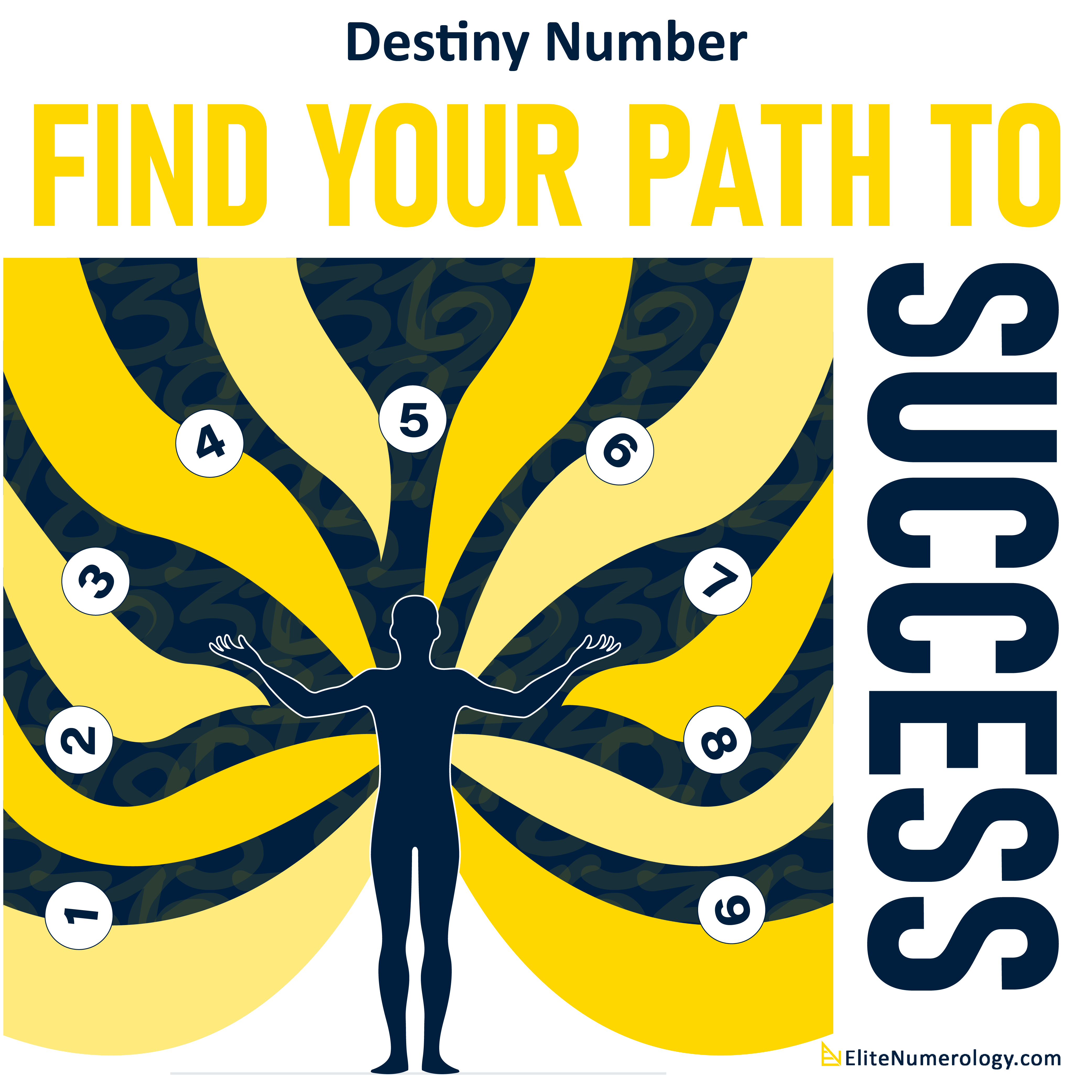 Numerology Destiny Number Calculator Tool